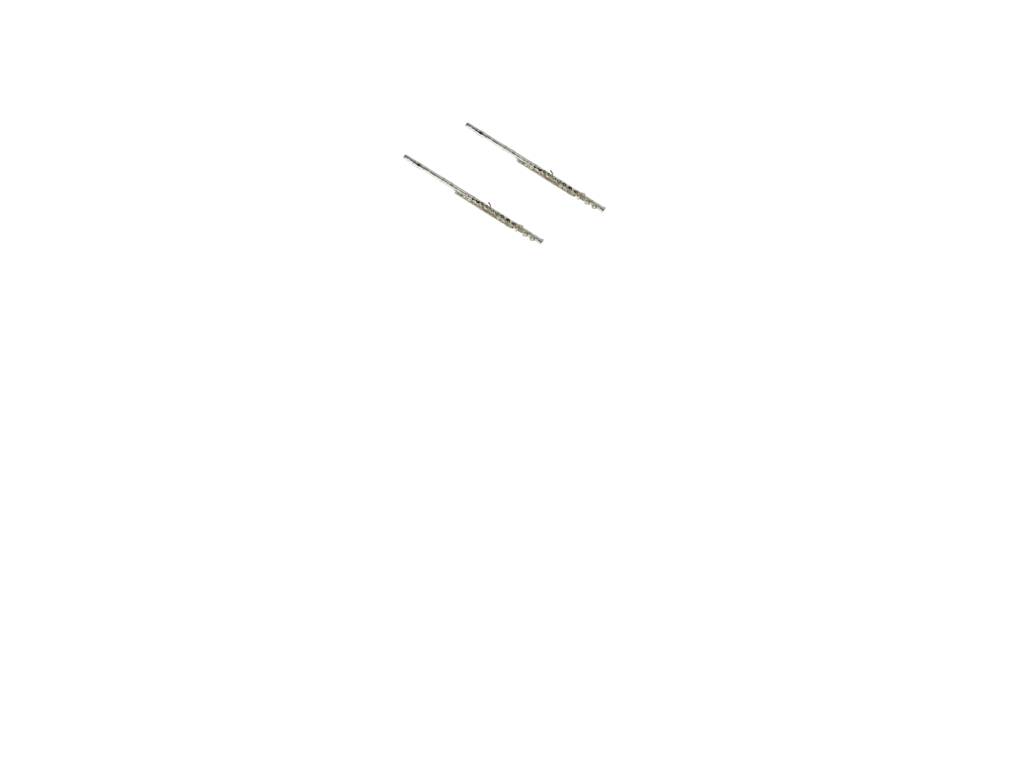 Flute