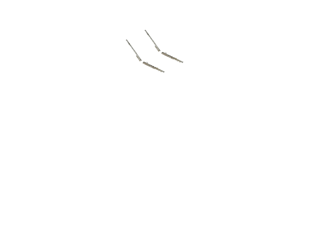 Flute